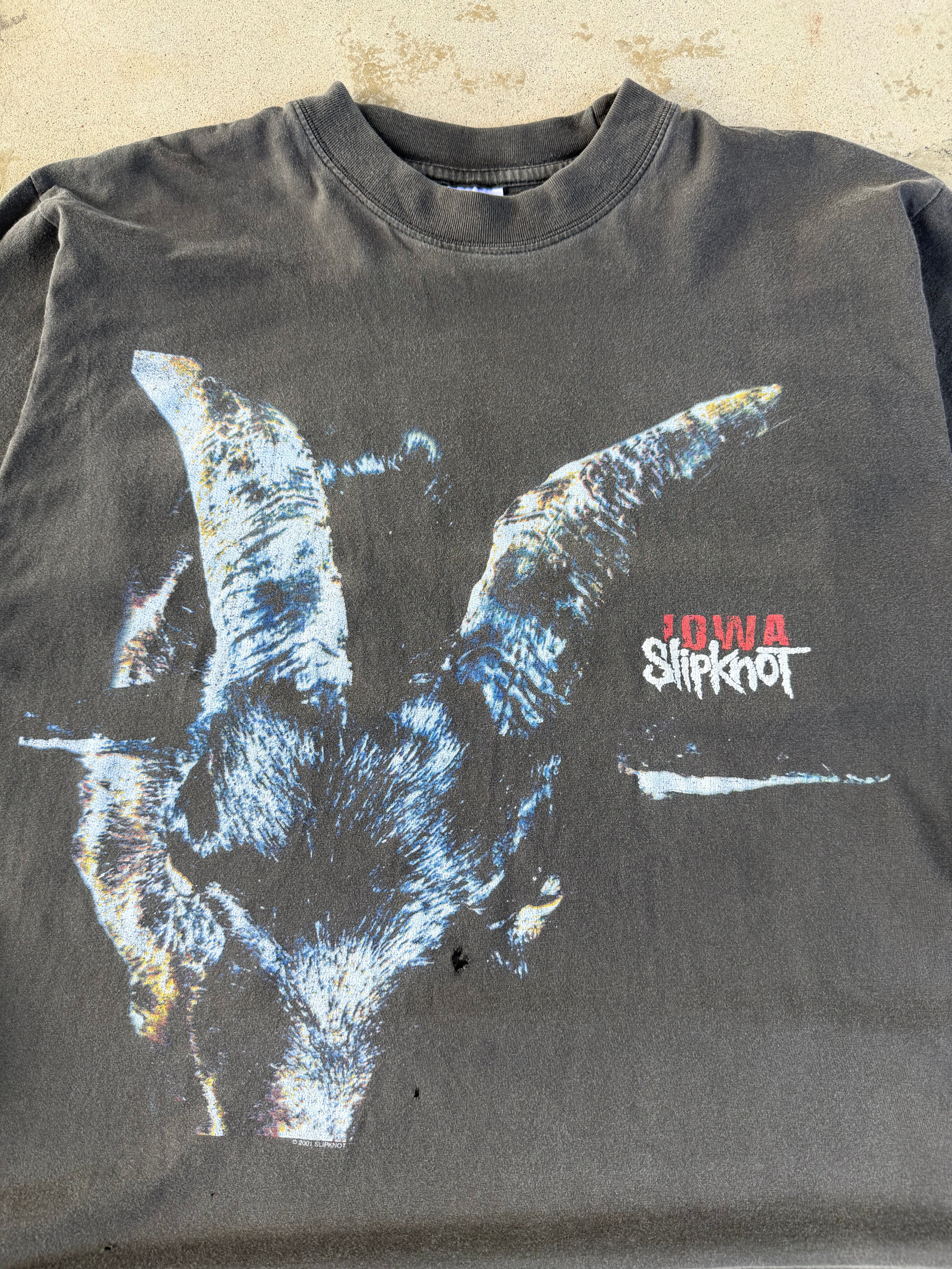 2001 Slipknot Iowa Grail | XL